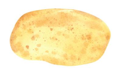 Vegetable, potato, hand drawn watercolor illustration isolated on white with clipping path