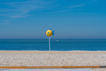 Le Havre, France - 06 01 2019: The big yellow fish