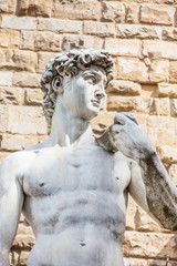 Fototapeta na wymiar Replica of Statue of David by the Italian artist Michelangelo placed at the Piazza della Signoria in Florence on 1910
