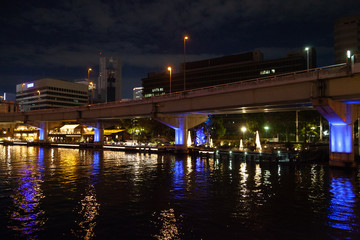 Fototapeta premium Osaka at Night, Japan, City Lights, Christmas Magic