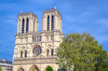 Naklejka na ściany i meble Notre Dame Cathedral on the Seine River in Paris, France after the fire on April 15, 2019.