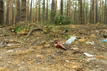 Empty plastic bottle in the form of garbage in the forest thrown by man. The concept of environmental pollution by human life products.