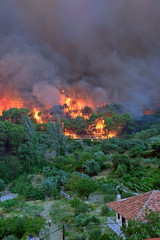 Massive Wildfire