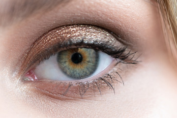 Macro photo of human eye with beautiful golden makeup and brown iris.