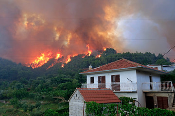 Wildfire near the houses