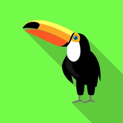 Cute toucan icon. Flat illustration of cute toucan vector icon for web design