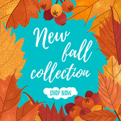 New fall collection vector square template for social networks