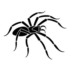 Scary spider icon. Simple illustration of scary spider vector icon for web design isolated on white background
