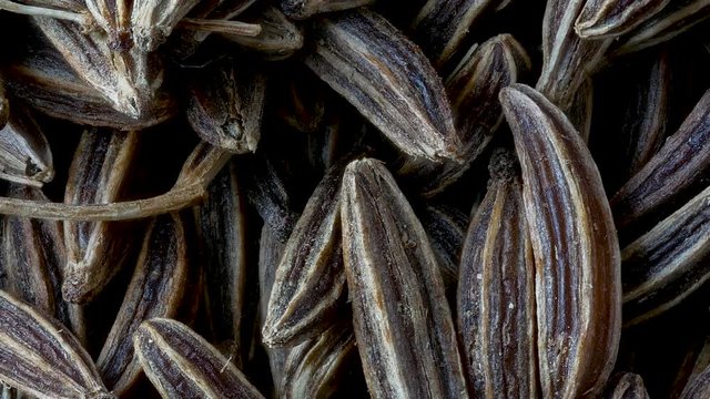 Close-up of Caraway Seeds, Carum carvi, Dark Food Background, Pan Shot