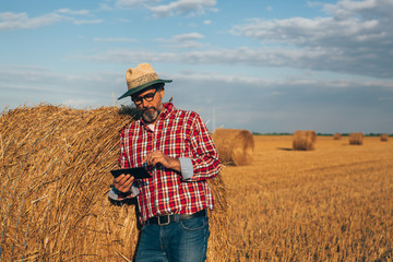 Naklejka na ściany i meble Farmer lean on hay bale using tablet on wheat field