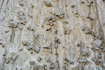 Concrete textures and pasterns and surfaces