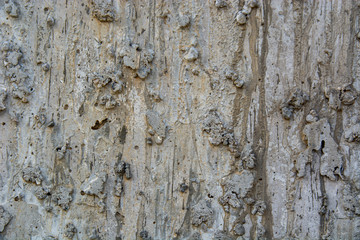 Obraz premium Concrete textures and pasterns and surfaces