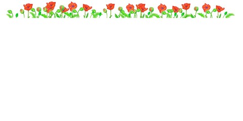 watercolor postcard of poppy flowers and buds