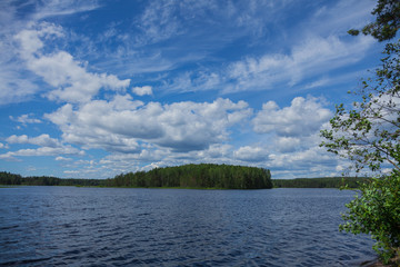 Background with thin white clouds in shape of bird in the blue summer sky over the lake. Forest on the far bank