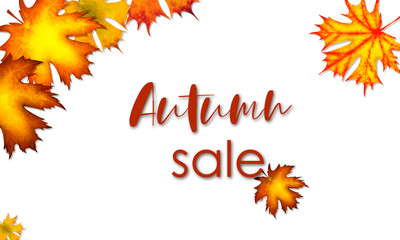autumn sale design with falling leaves on white background