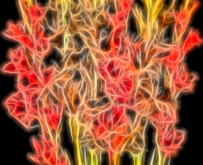 Gladiolus Bouquet Abstracted photo