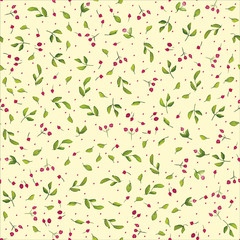 024-PLANTS C06 PAT-08