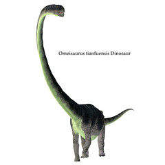 Omeisaurus Dinosaur Front with Font - Omeisaurus was a herbivorous sauropod dinosaur that lived in China during the Jurassic Period.  © Catmando