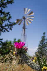 Old windmill in Northern Cyprus