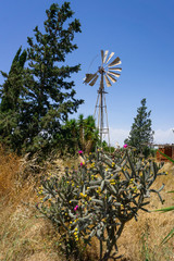 Old windmill in Northern Cyprus
