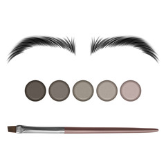 Eyebrow color swatch on white background, realistic vector illustration