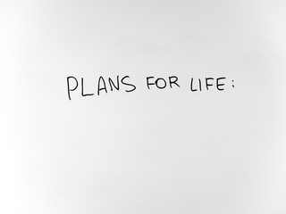 written in marker by hand text plans for life