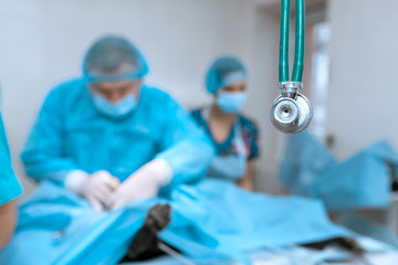 An experienced veterinarian in a mask and gown operates a pet dog in a sterile operating room with...