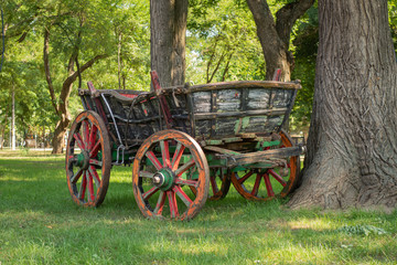 Fototapeta na wymiar Vintage horse cart in a city park among old trees and green lawn.