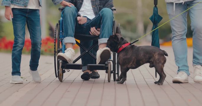 Dog plays with its owner, boy in a wheelchair. Bottom view.