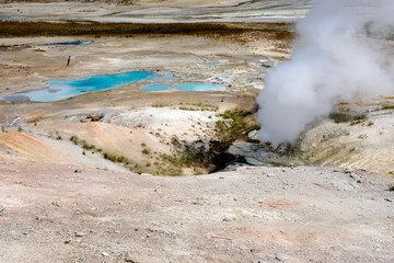 thermal pools in geyser area of Yellowstone National Park