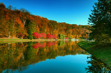 beautiful bright autumn landscape
