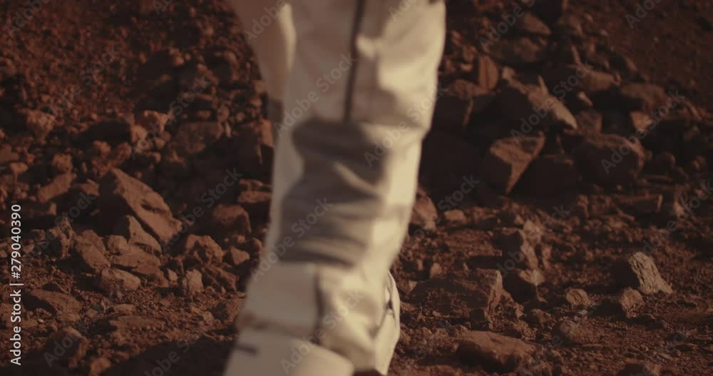 Canvas Prints astronaut examining rock on mars