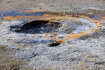 thermal pools in geyser area of Yellowstone National Park