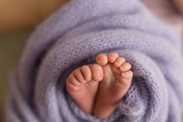 The legs of a newborn baby in the mother's arms. the legs of a newborn baby in his hands . baby's feet. 