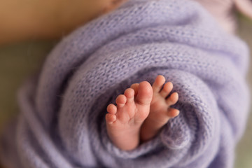 	 The legs of a newborn baby in the mother's arms. the legs of a newborn baby in his hands . baby's feet. 