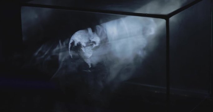 Glowin futuristic planete hologram projection in the black box with glass and smoke. Future comunication concept. Laser effect.