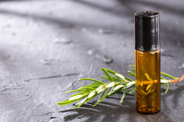 Fototapeta premium Rosmarinus officinalis - Rosemary leaves and oil