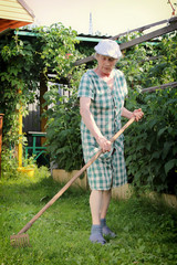 Portrait of an old woman with a rake. Which rakes the green grass.