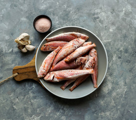 raw fresh red mullets on the plate, sea fish, very tasty,grey stone background