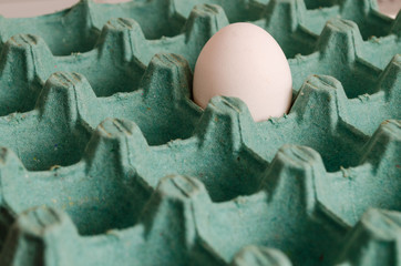 a white egg in an empty green egg carton