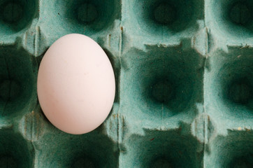a single white egg arranged in a green egg carton.