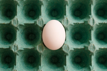 a single white egg arranged in a green egg carton.a single