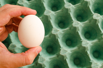 hand holding a white egg and in the background an empty green egg carton.
