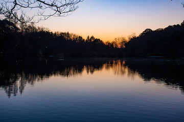 三宝寺池の朝日