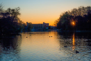 石神井池の朝日