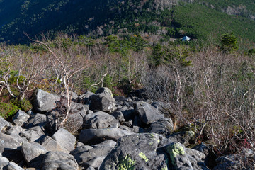 蓼科山への登山道