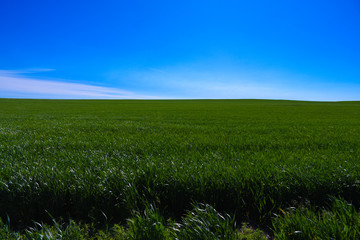 Colorado, Colorado springs