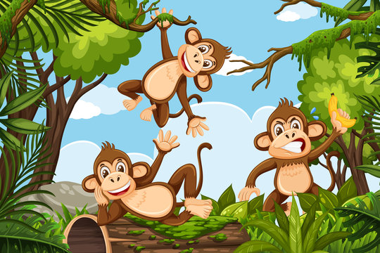 Fun monkeys in jungle scene