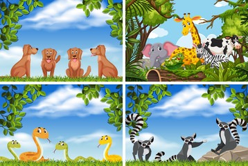 Obraz premium Set of various animals in nature scenes