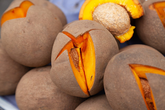 fresh zapote fruit